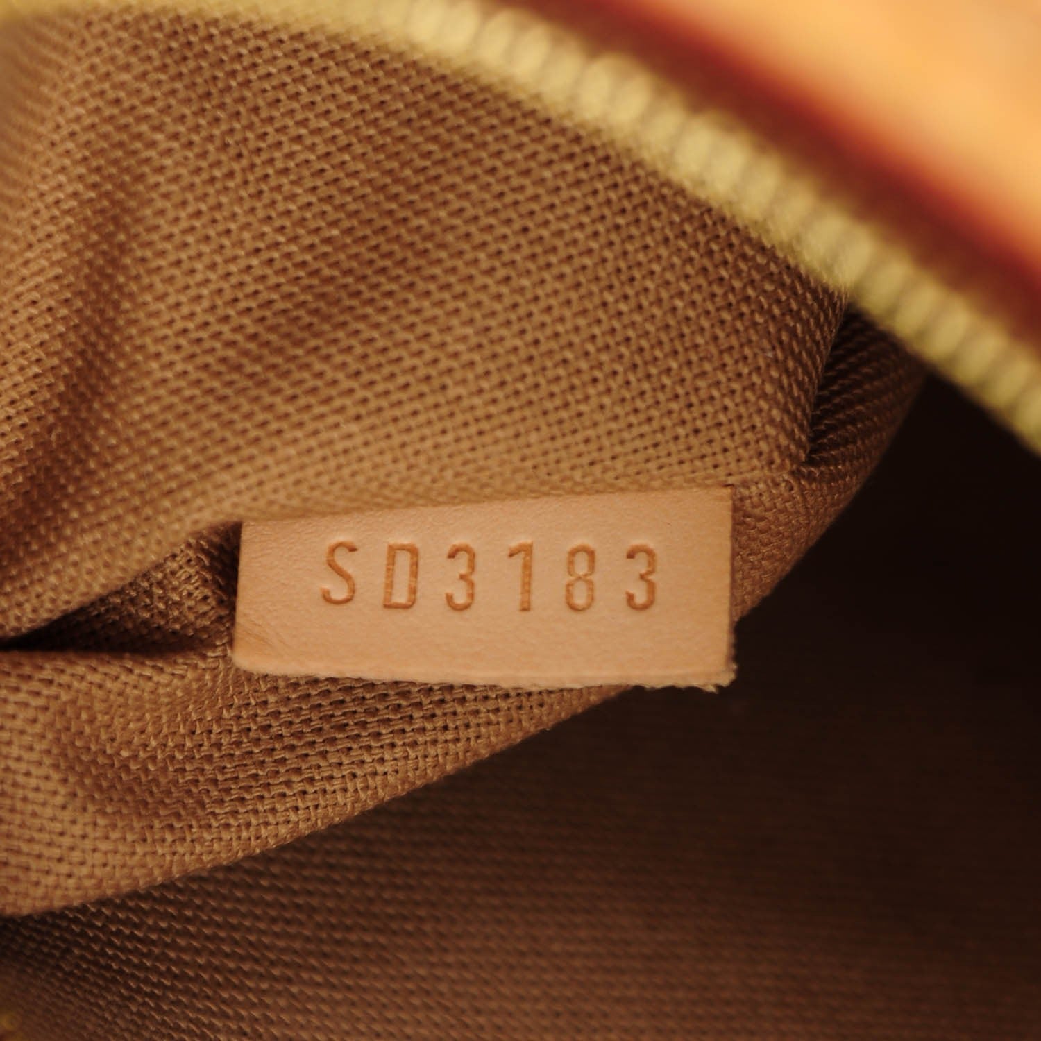 Louis Vuitton Monogram Delightful PM 8 of 10