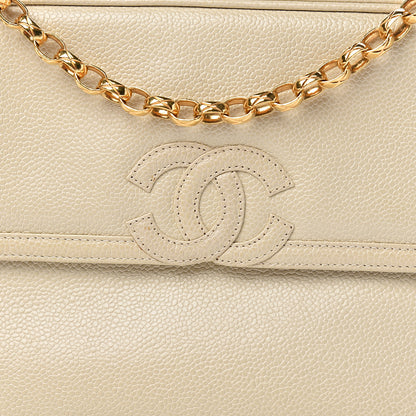 Chanel Caviar CC Camera Case Beige 14 of 14
