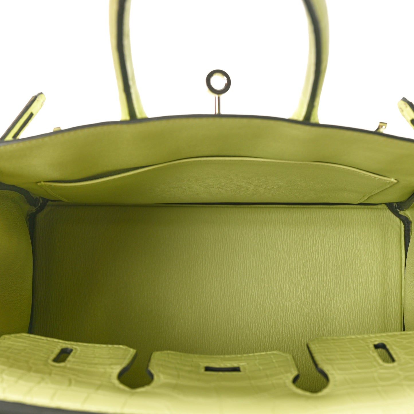 Matte Alligator Birkin 25 Jaune Bourgeon