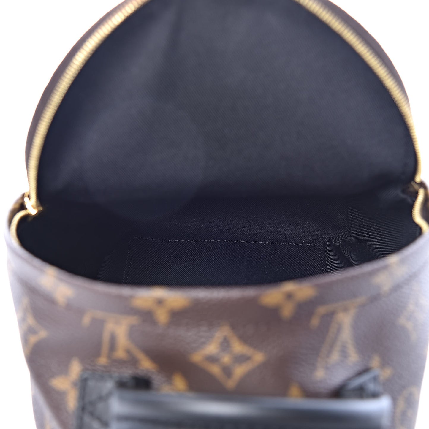 Monogram Palm Springs Backpack Mini