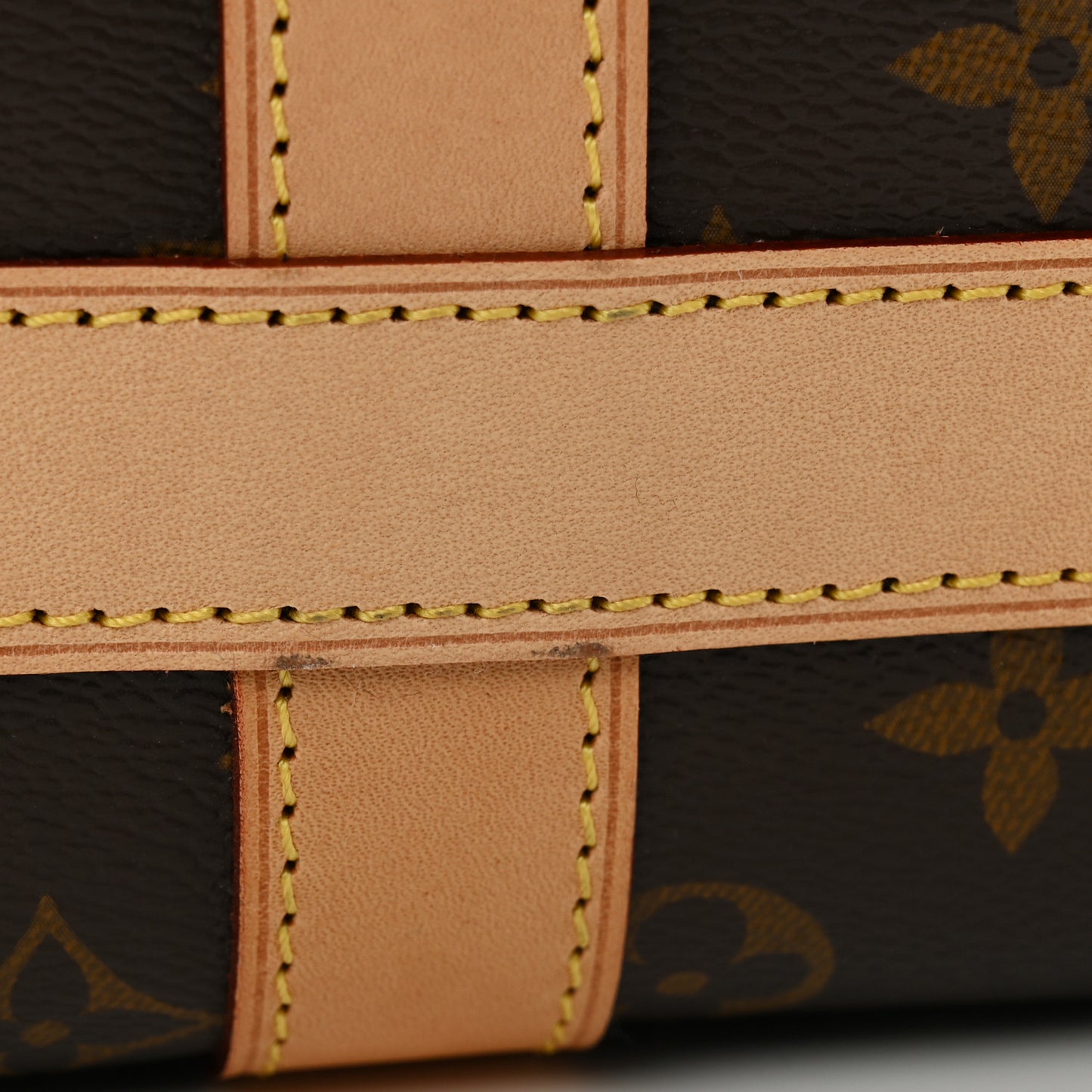 Monogram Dog Carrier 45