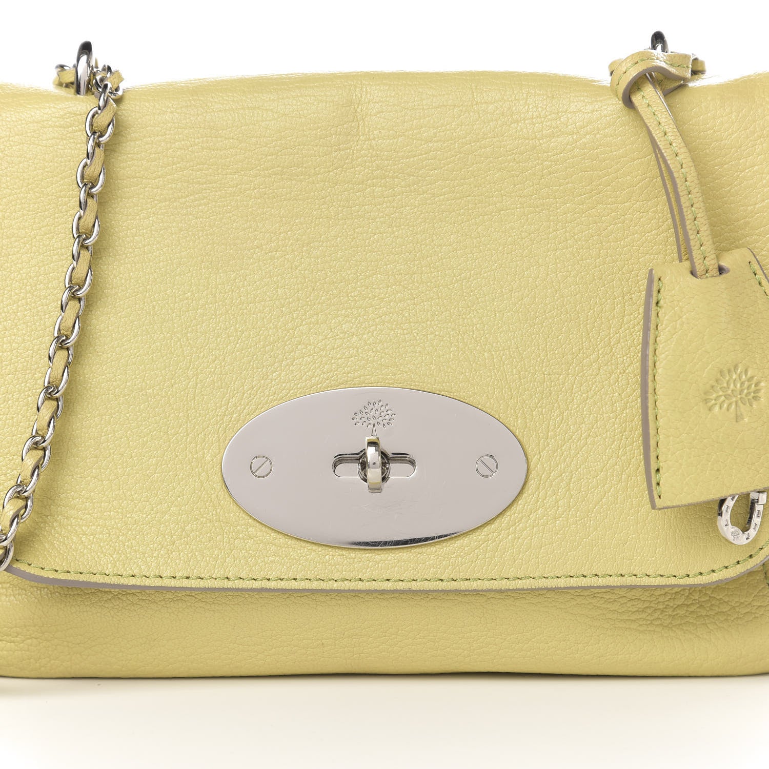 Mulberry Glossy Goatskin Small Lily Flap Pistachio 16 of 16