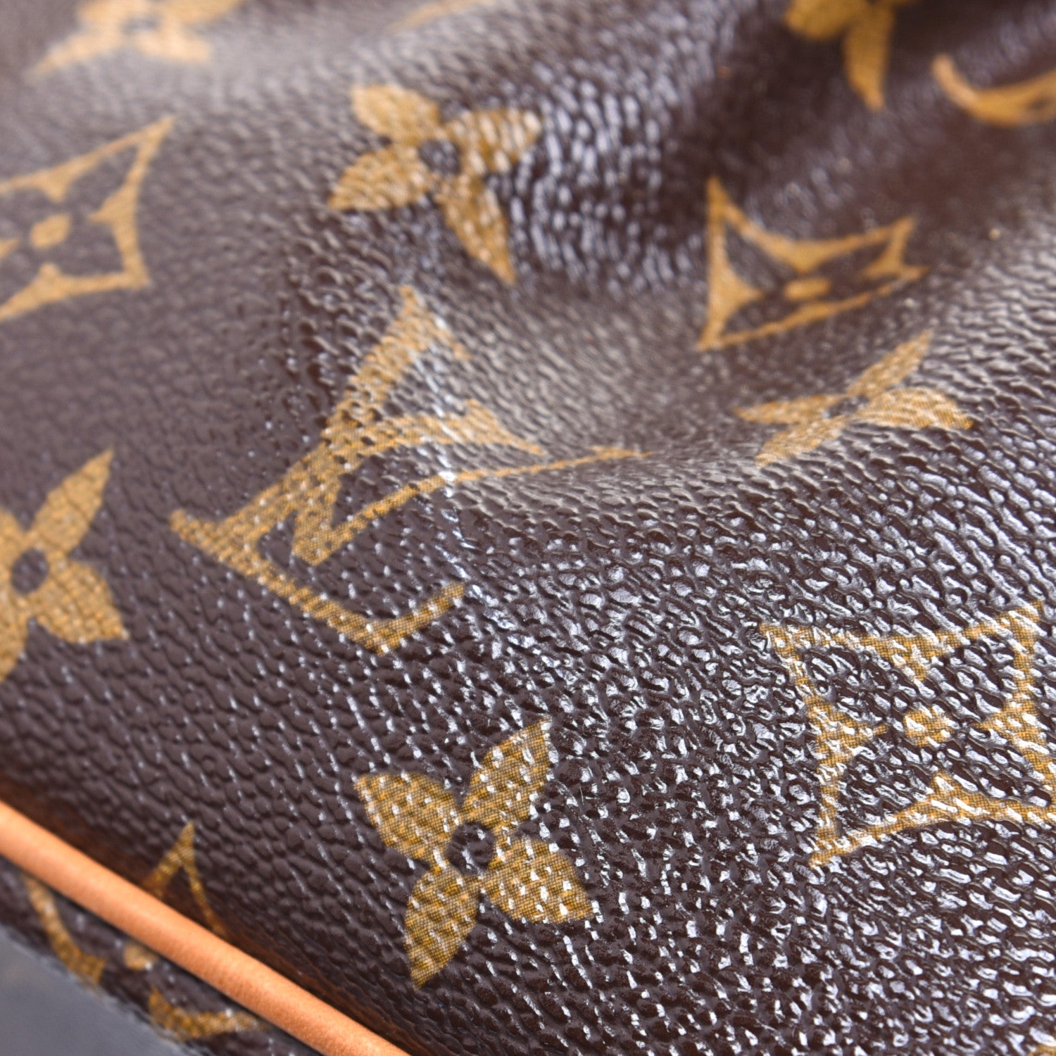 Louis Vuitton Monogram Palermo PM 10 of 10