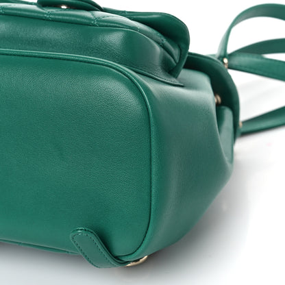 Chanel Lambskin Quilted Small Duma Drawstring Backpack Green 9 of 10