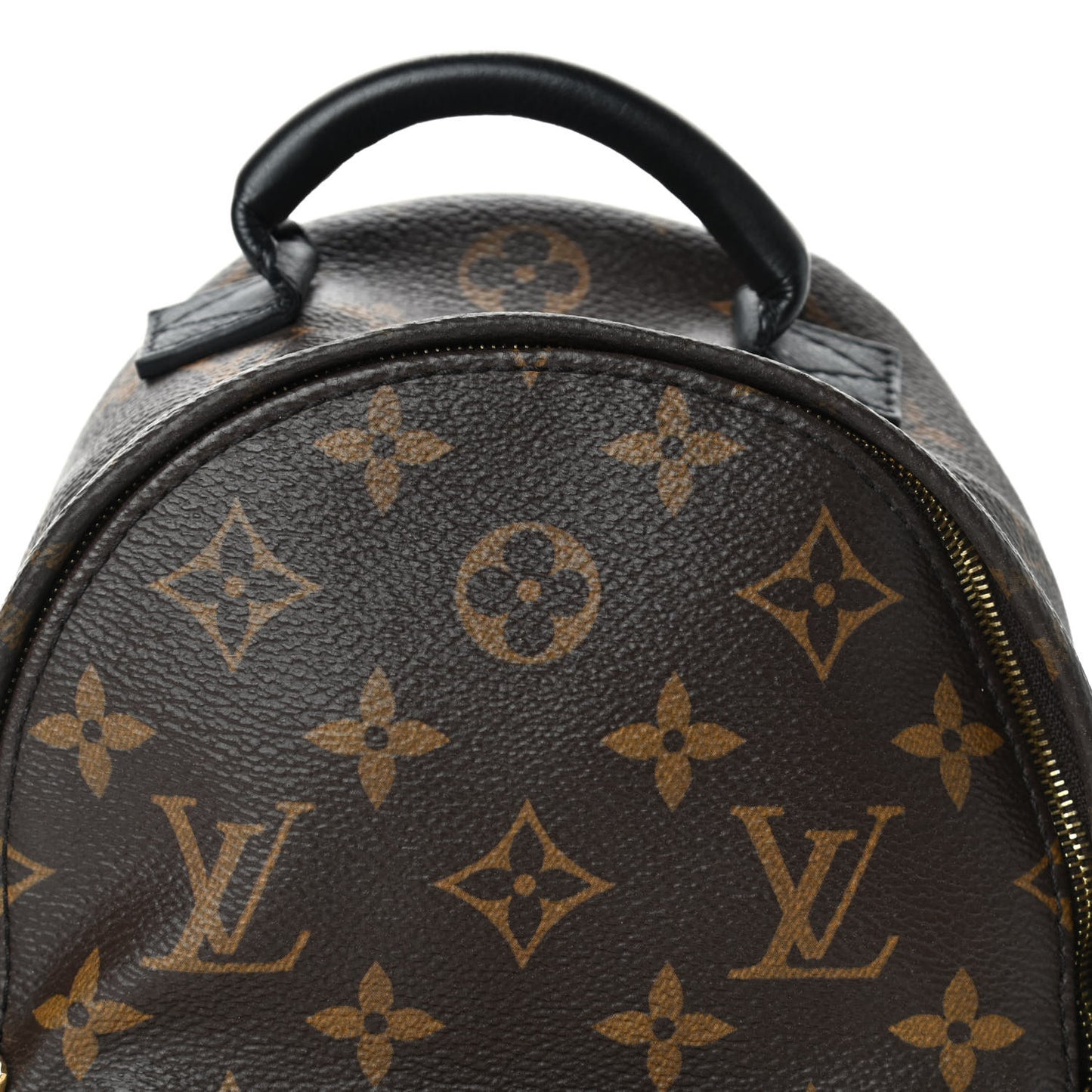 Monogram Palm Springs Backpack Mini