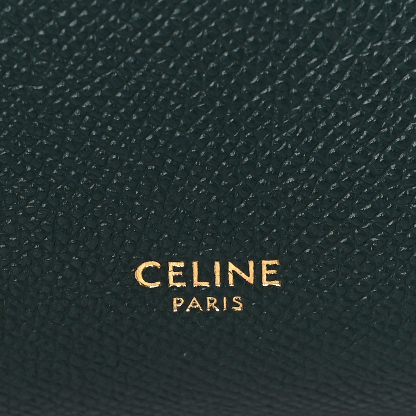 Grained Calfskin Nano Belt Bag Amazone