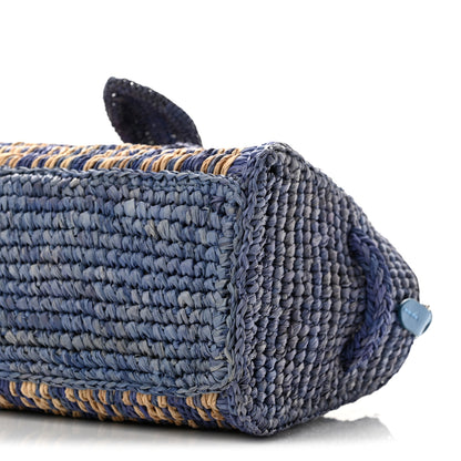 Jacquemus Raffia Le Petit Turismo Blue Natural 10 of 10
