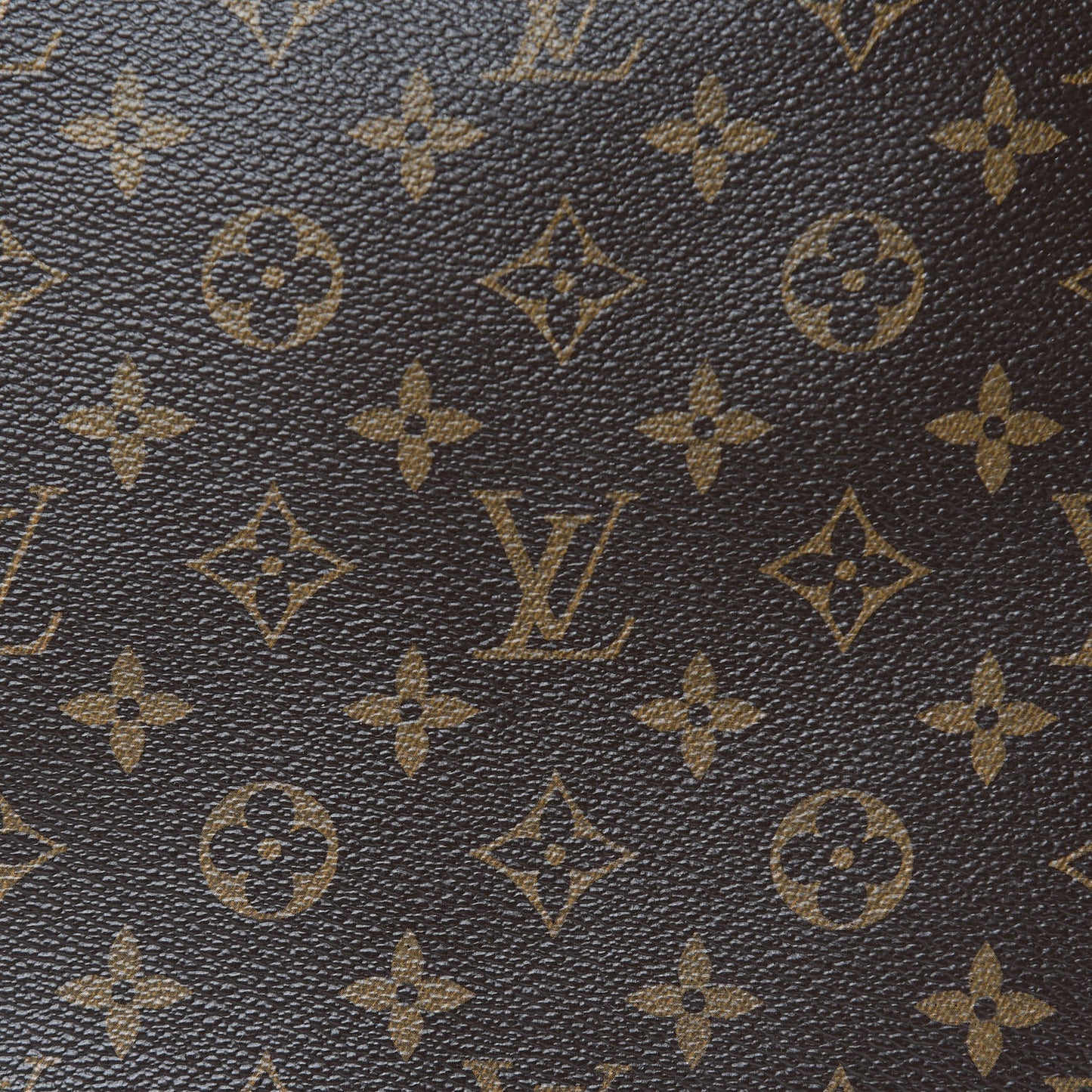 Monogram Delightful PM