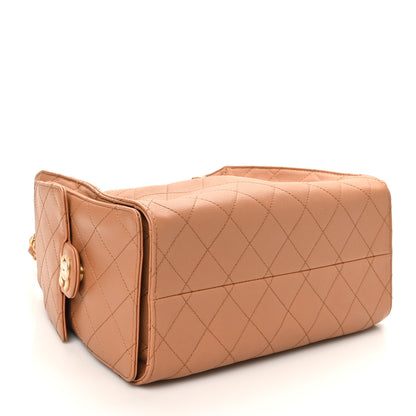 Chanel Caviar Quilted Small Chanel 25 Handbag Brown 4 of 11