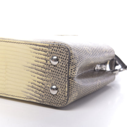 Louis Vuitton Lizard Ombre Capucines Mini Natural 8 of 10