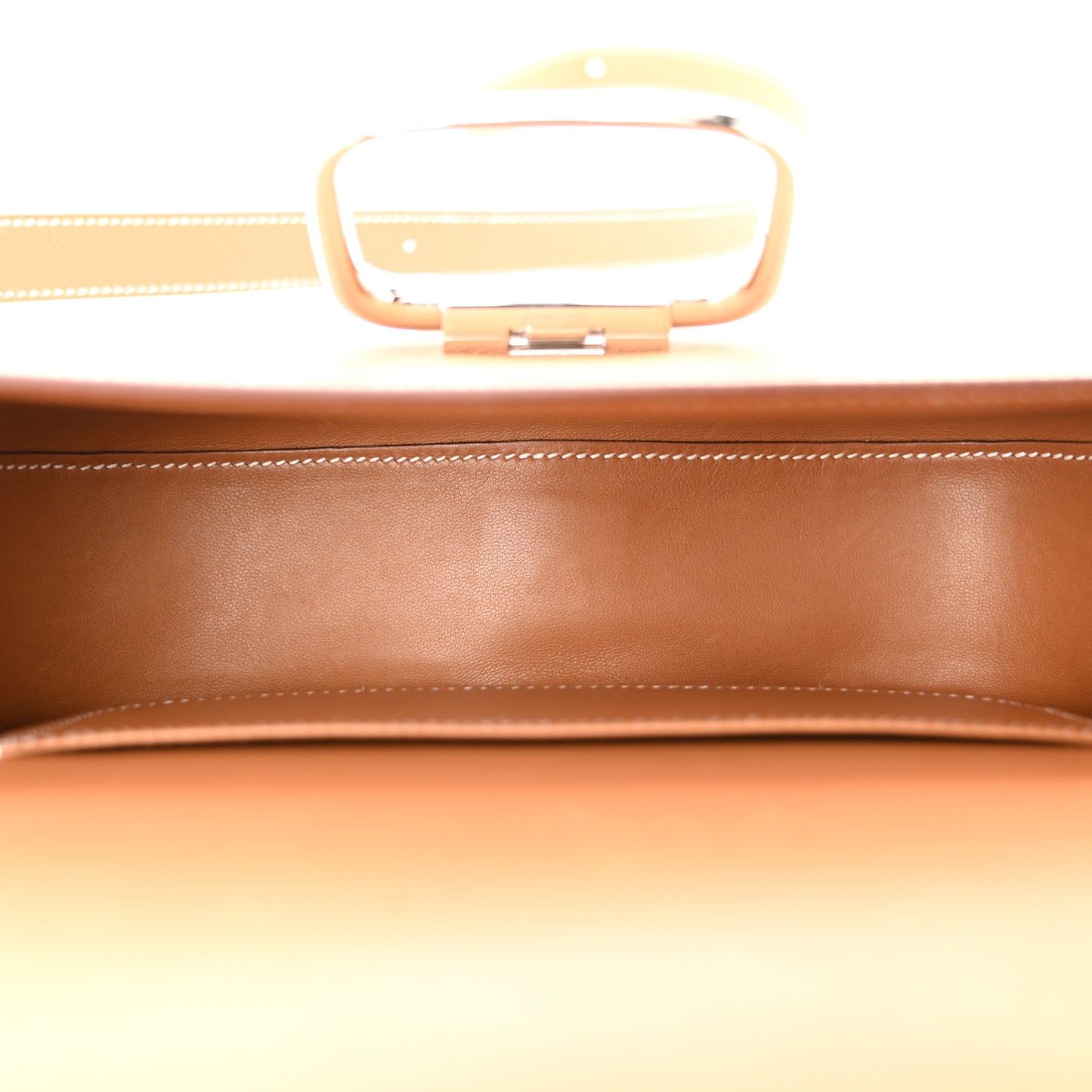 Epsom Della Cavalleria Elan Gold