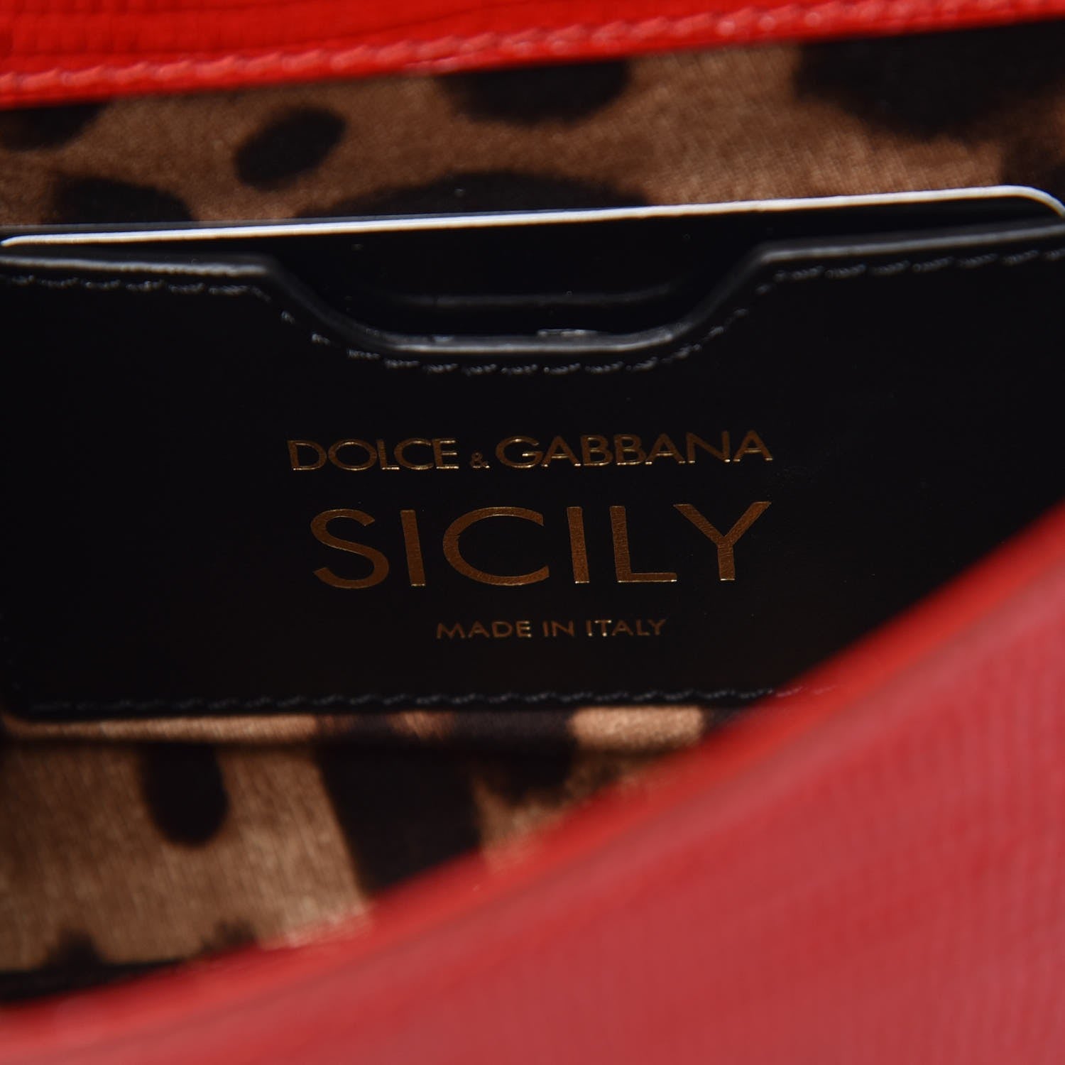 Dolce & Gabbana Stampa Iguana Crystal Small Miss Sicily Satchel Rosso 6 of 7