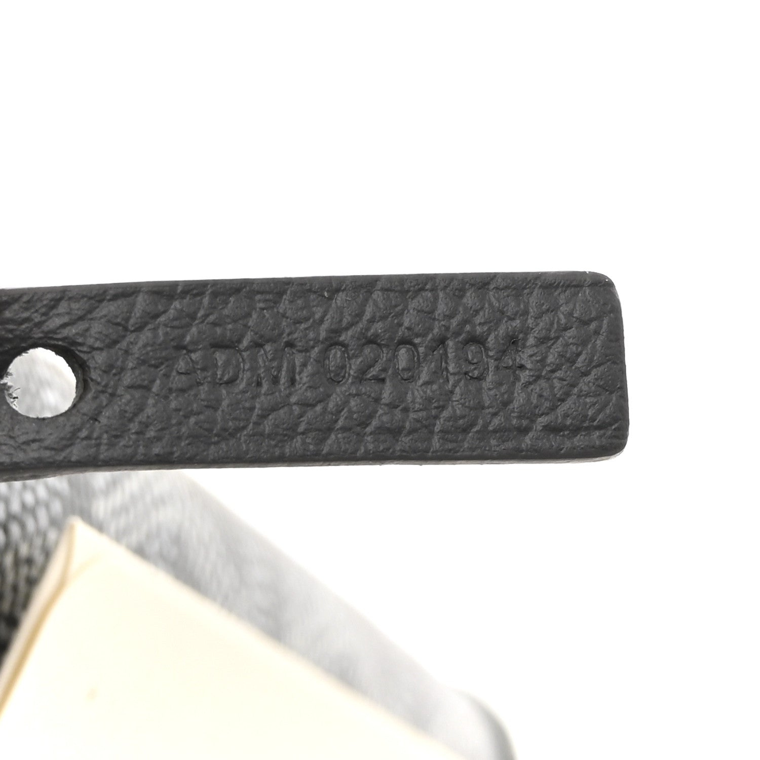 Goyard Goyardine Saint Louis PM Grey 8 of 13