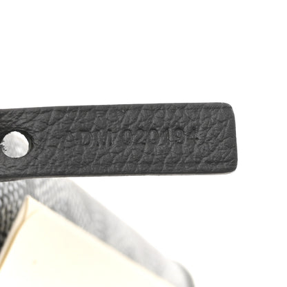 Goyard Goyardine Saint Louis PM Grey 8 of 13