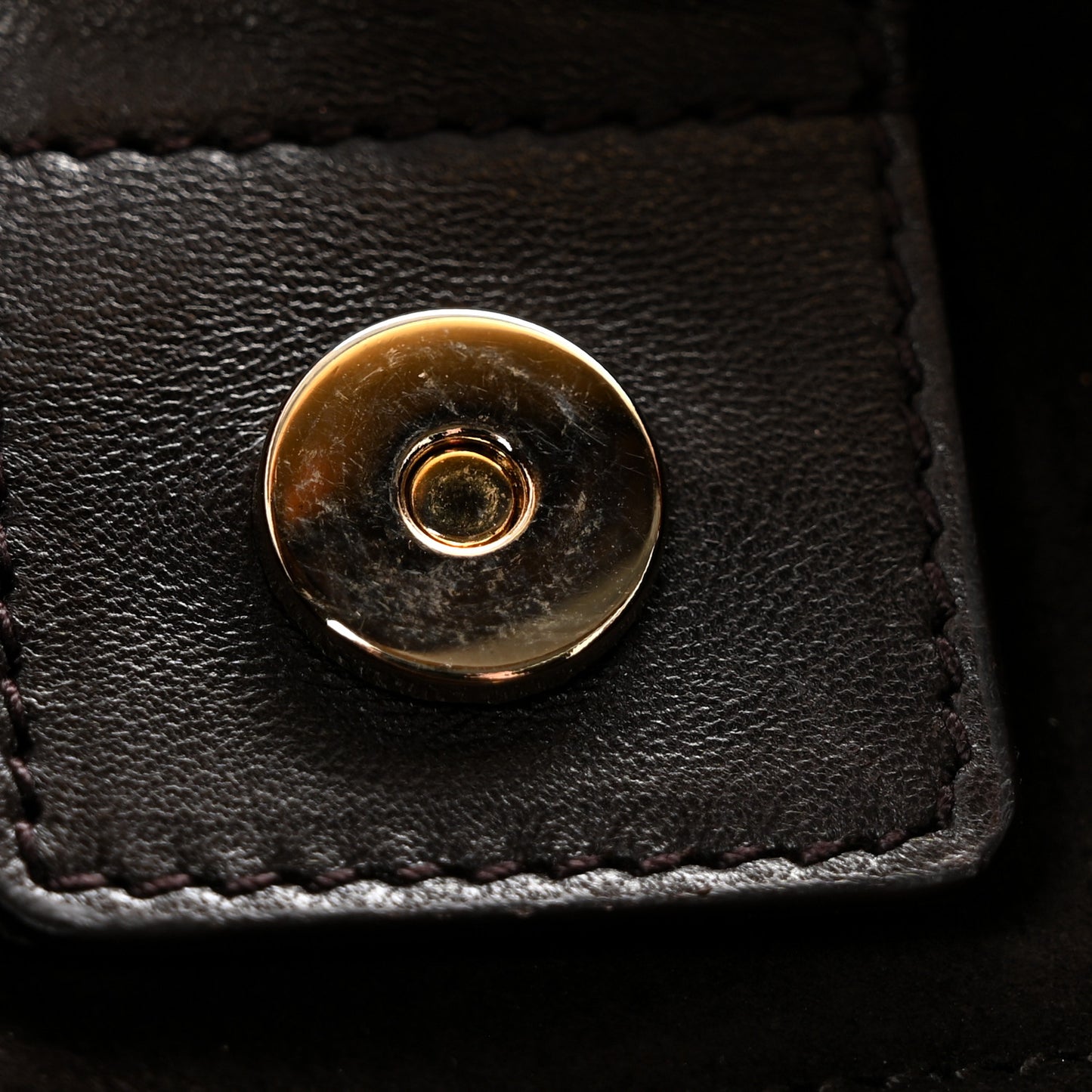 Snakeskin Buffalo Horn Mombasa Hobo Brown
