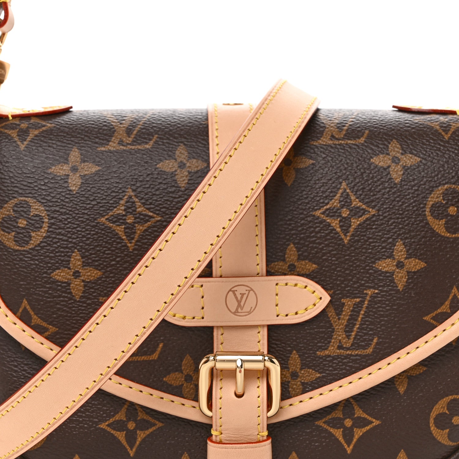 Louis Vuitton Monogram Saumur BB 7 of 9