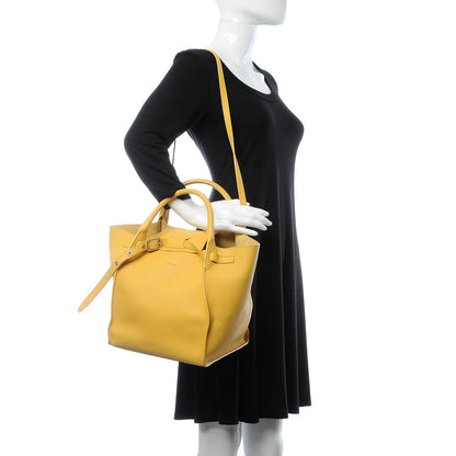 Celine Supple Grained Calfskin Small Big Bag Sunflower 2 of 8