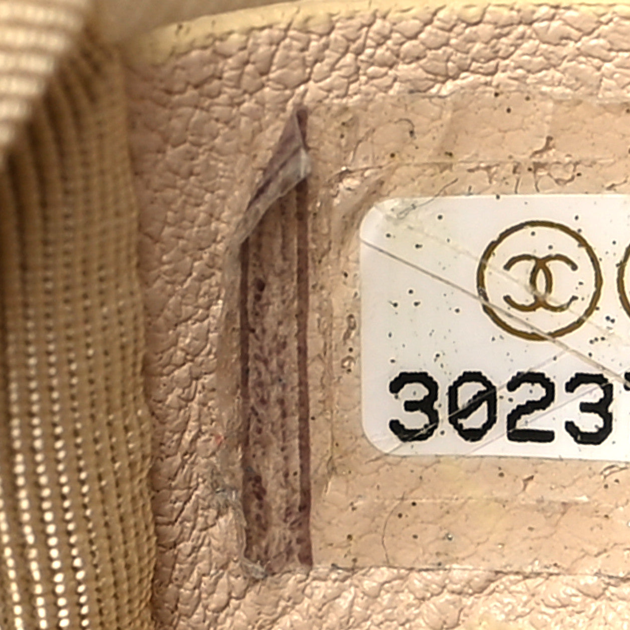 Lambskin Quilted Maxi Chanel 19 Flap Light Beige