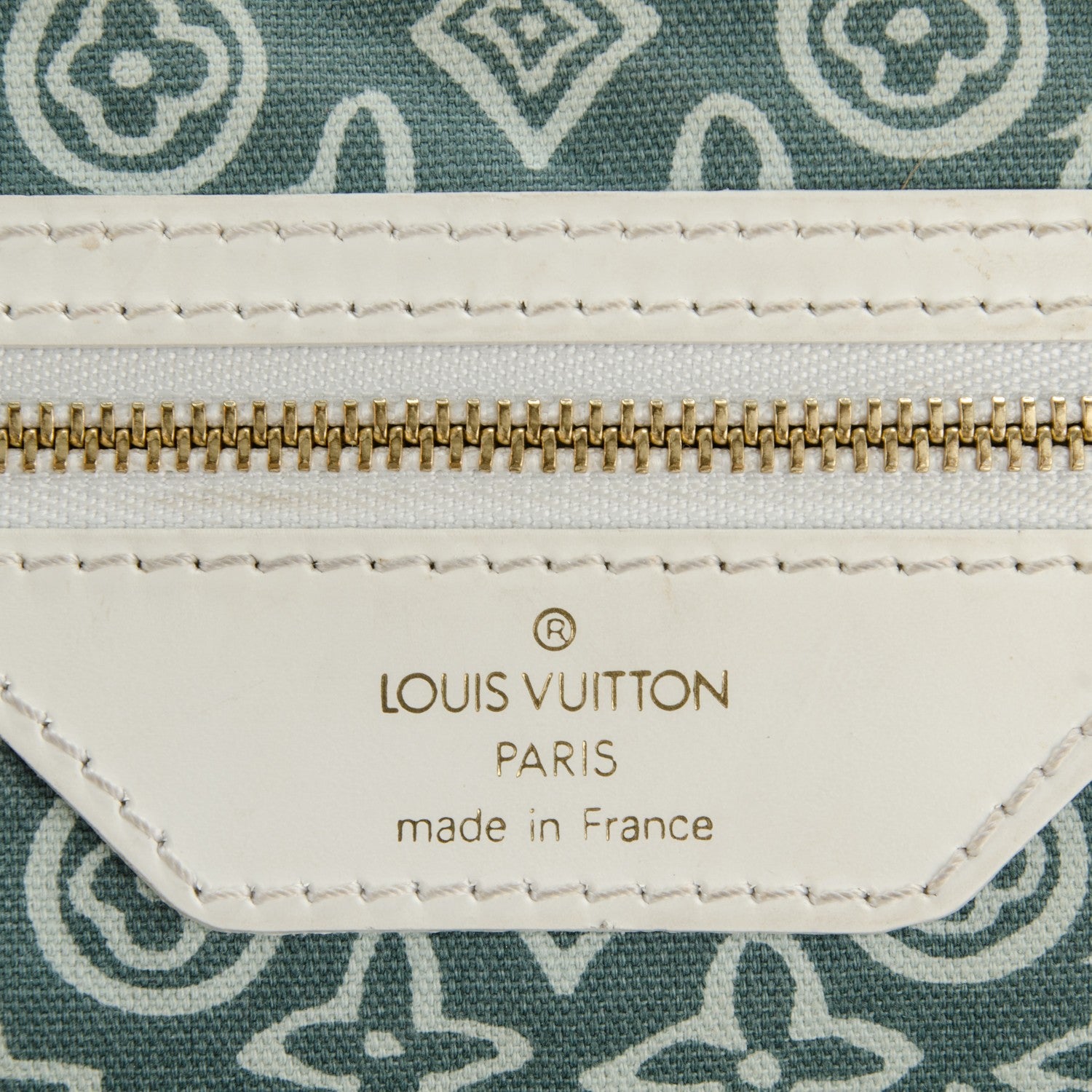 Louis Vuitton Tahitienne Cabas PM Menthe 6 of 8