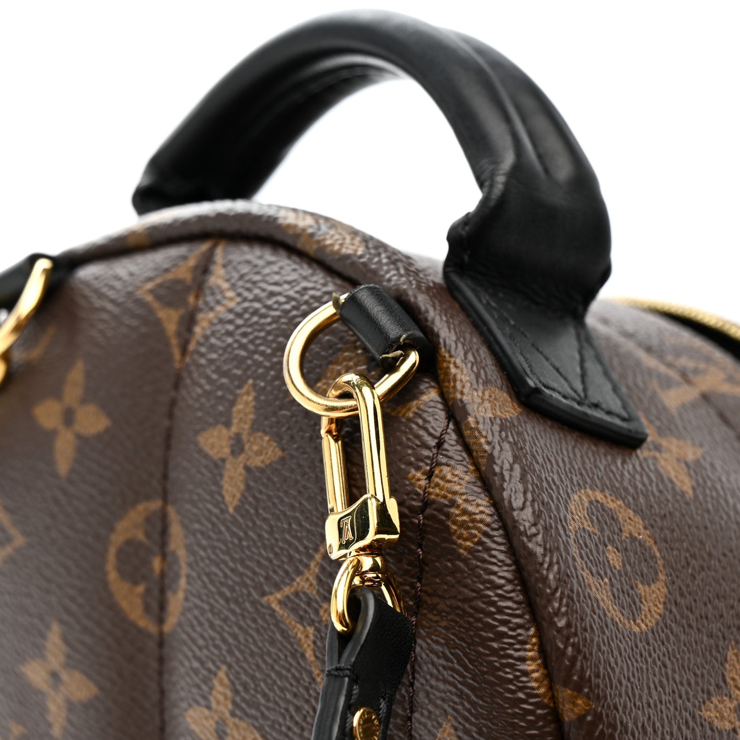 Monogram Palm Springs Backpack Mini