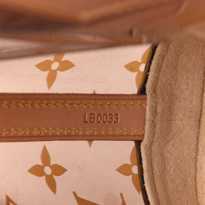 Louis Vuitton Vinyl Cabas Ambre PM 7 of 10