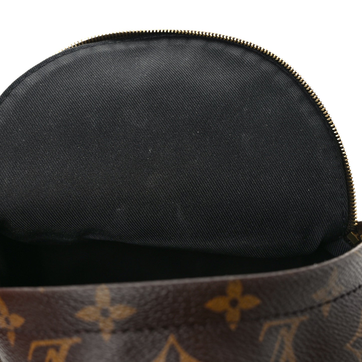 Monogram Palm Springs Backpack Mini
