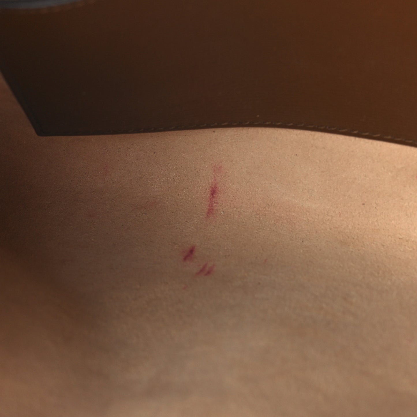 GG Supreme Monogram Azalea Calfskin Web Small Horsebit 1955 Crossbody Bag Beige Ebony Brown Sugar