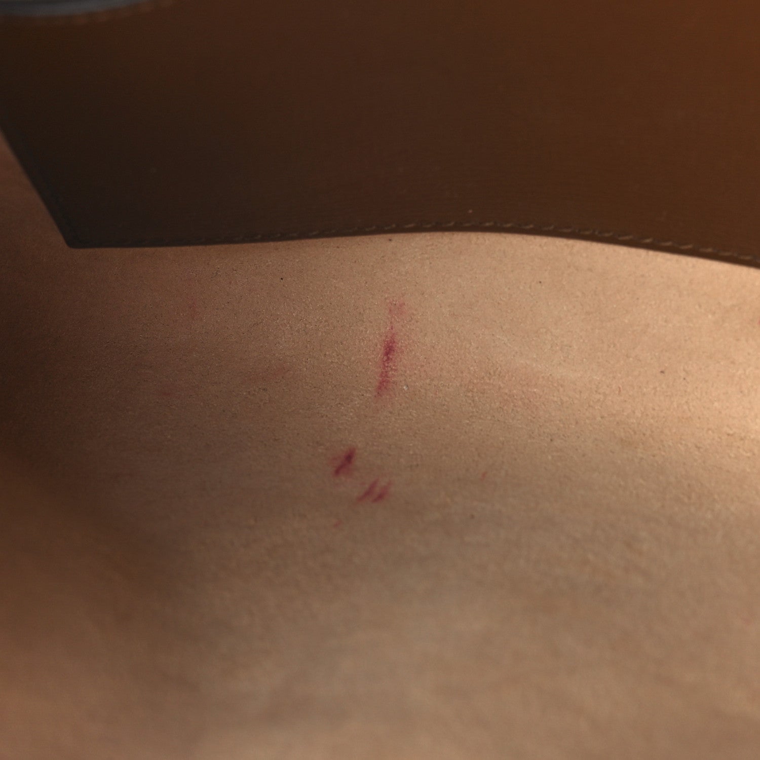 Gucci GG Supreme Monogram Azalea Calfskin Web Small Horsebit 1955 Crossbody Bag Beige Ebony Brown Sugar 12 of 12