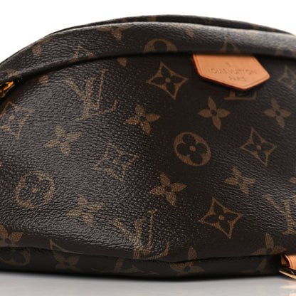 Louis Vuitton Monogram Bumbag 8 of 9