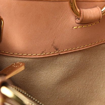 Louis Vuitton Monogram Etoile Shopper 14 of 18