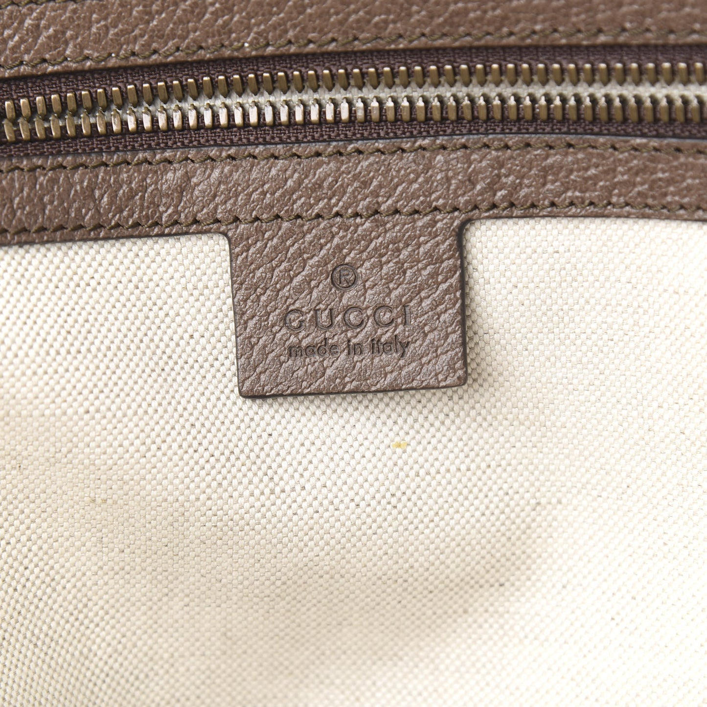 GG Supreme Monogram Medium Ophidia Day Backpack Brown