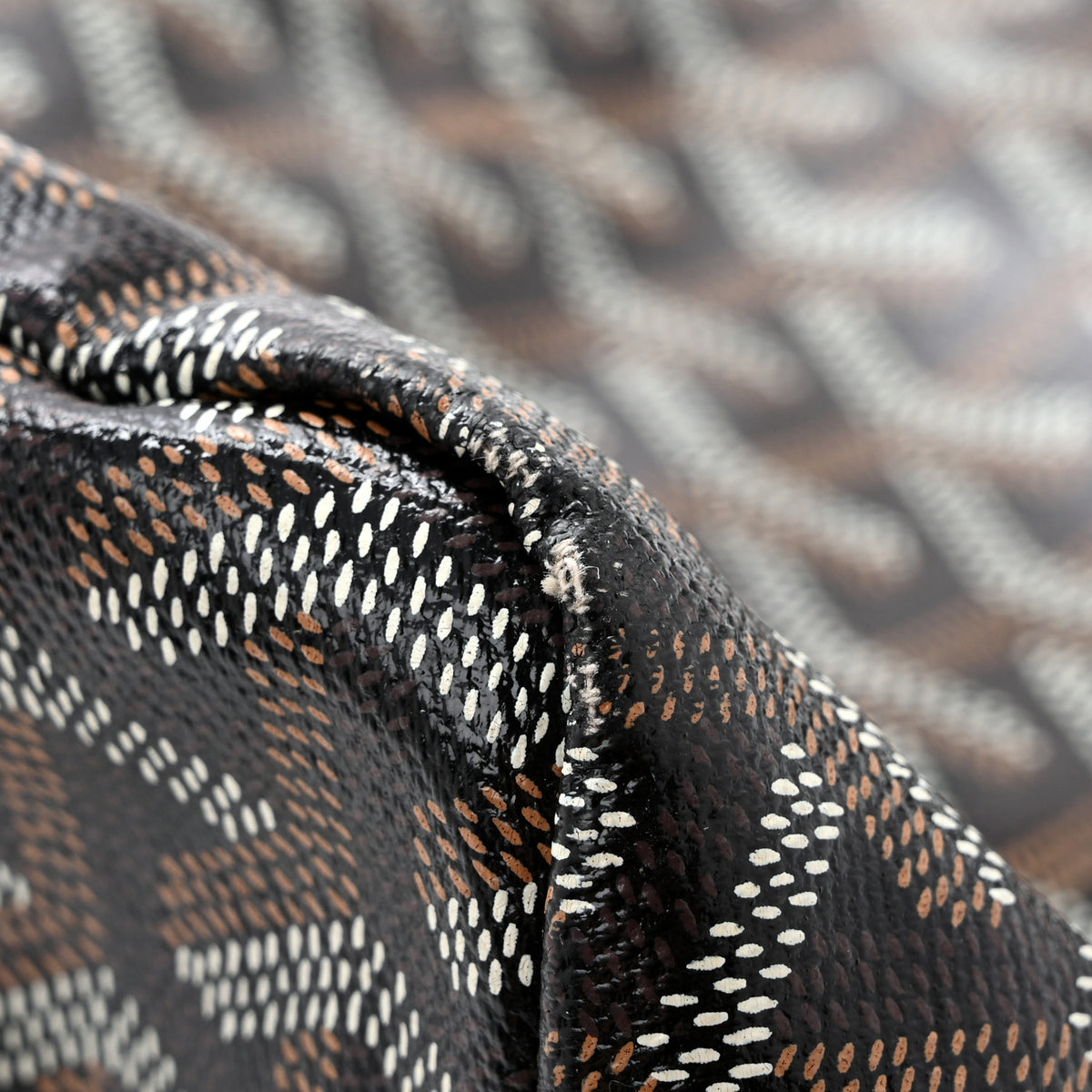 Goyard Goyardine Saint Louis PM Black 13 of 15