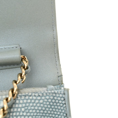 Chanel Lizard Wallet on Chain WOC Light Grey 13 of 19