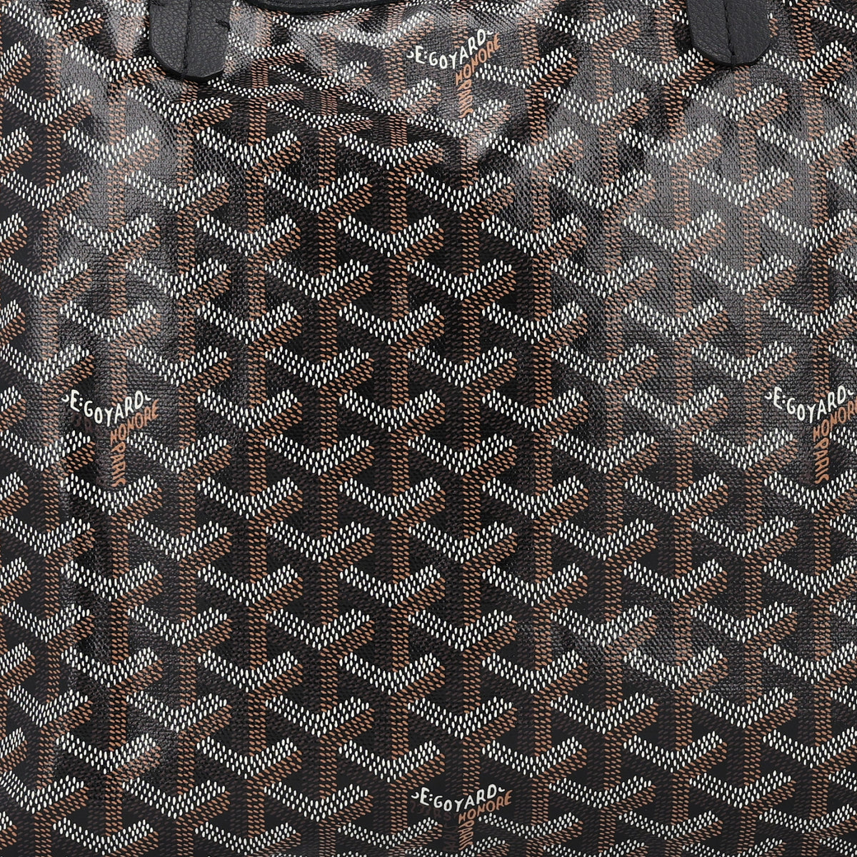 Goyard Goyardine Saint Louis PM Black 7 of 11