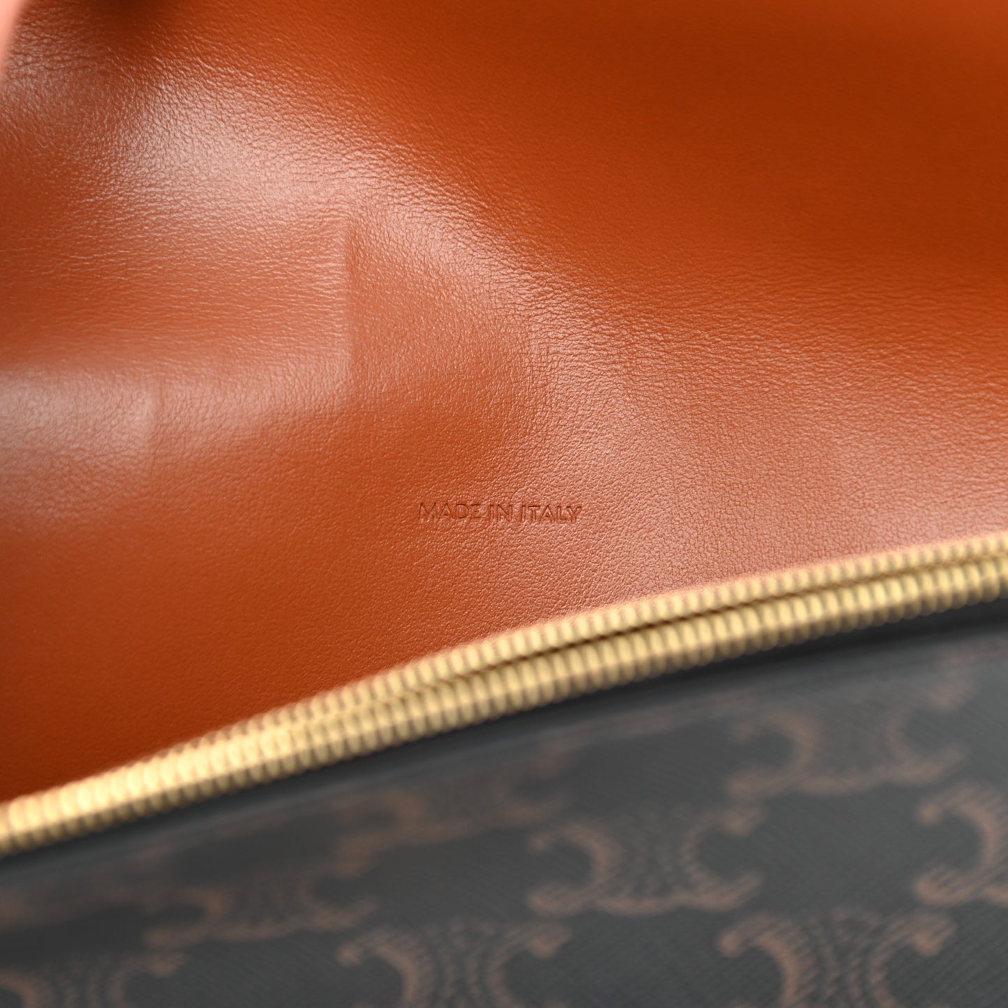Triomphe Canvas Lambskin Wallet On Strap Tan