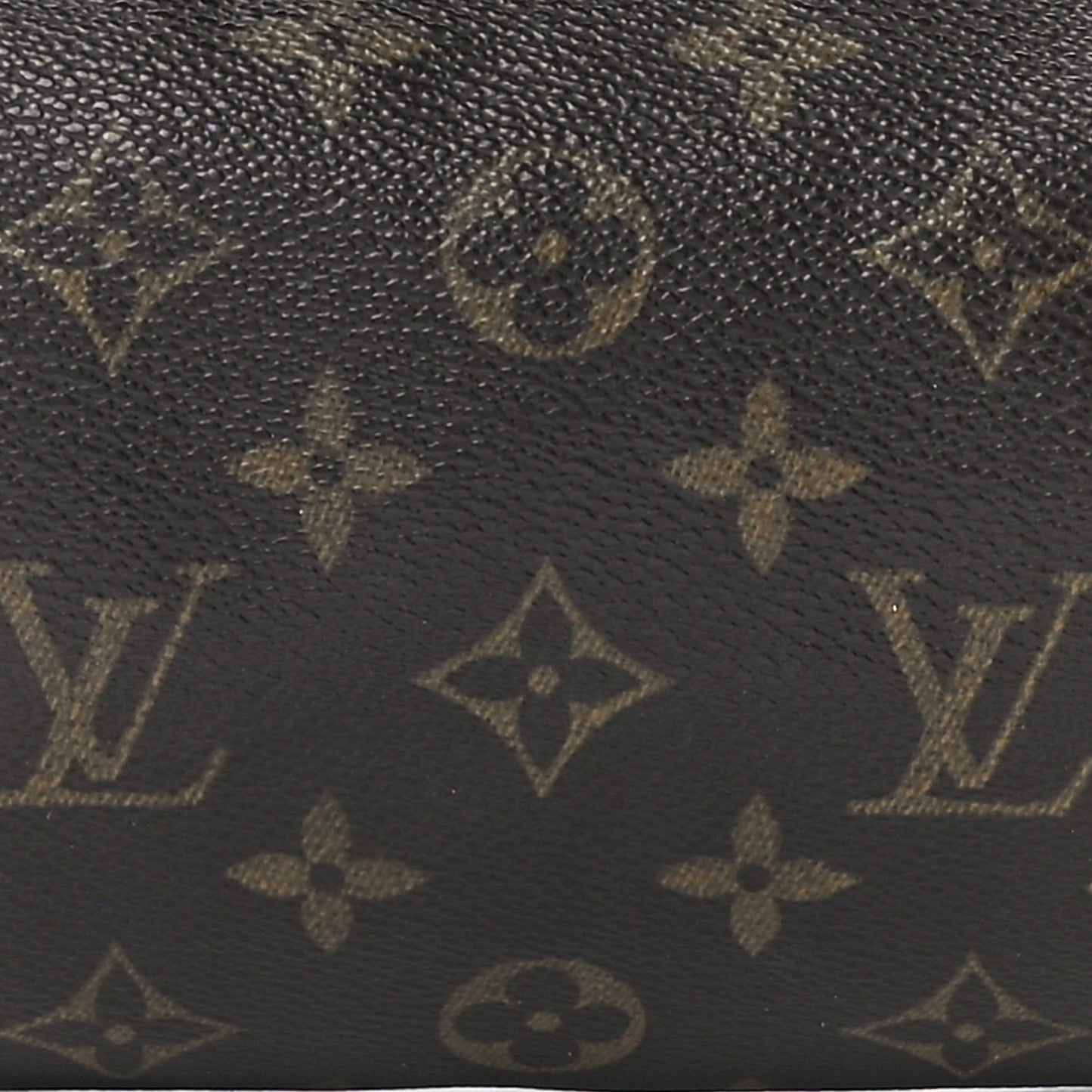 Monogram Papillon 26