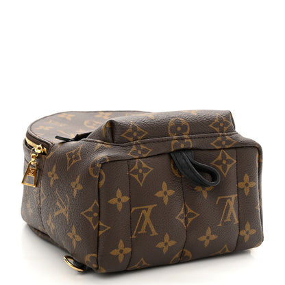 Louis Vuitton Monogram Palm Springs Backpack Mini 4 of 13