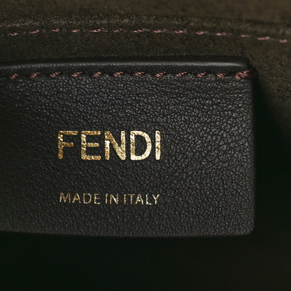 Fendi Vitello King Plexiglass Elaphe Python Print Logo Mini By The Way Mirto 6 of 8