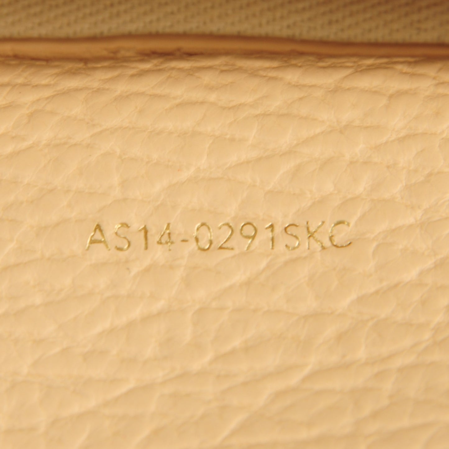 3.1 Textured Calfskin Pashli Backpack Buff