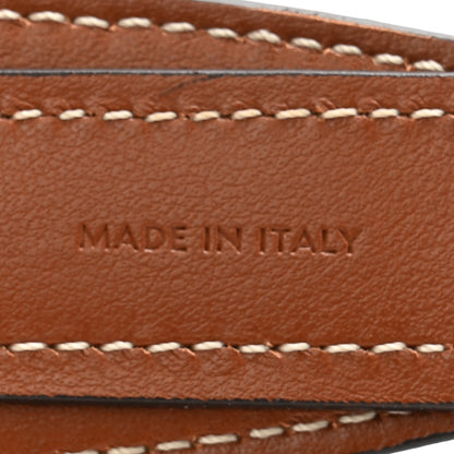 Celine Smooth Calfskin Long Strap Tan 4 of 6