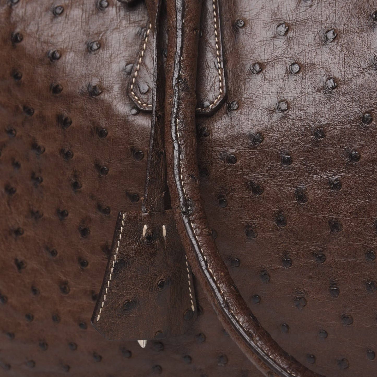 Ostrich Travel Briefcase Brown