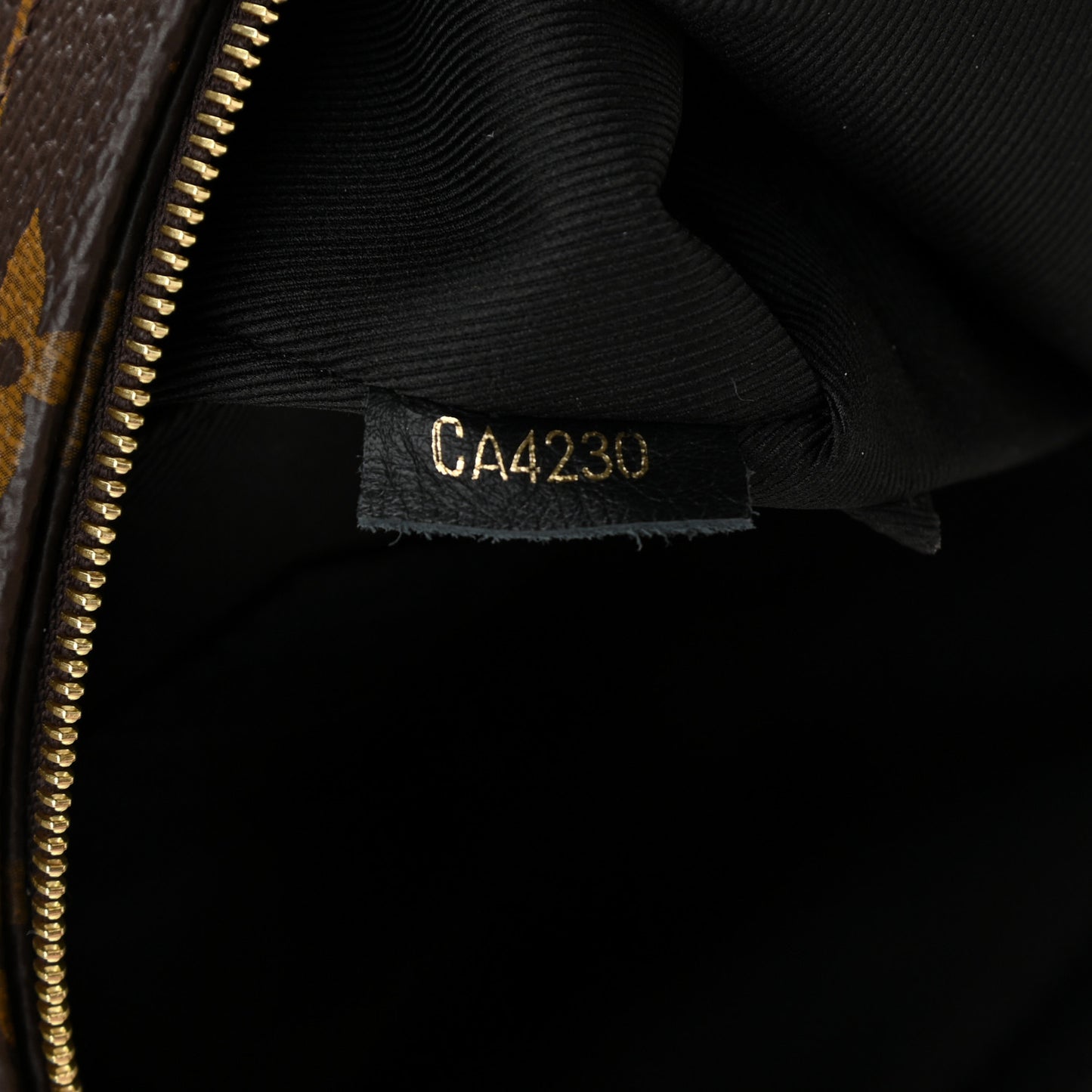 Monogram Palm Springs Backpack Mini