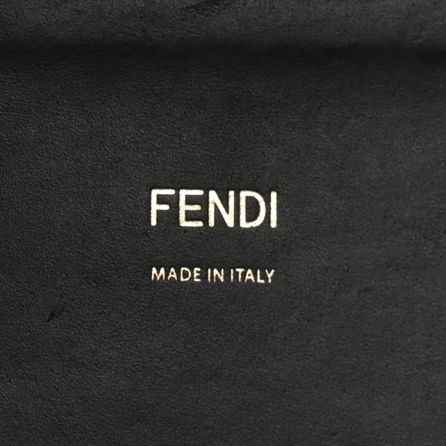 Vitello King Plexiglass Medium Fendi Sunshine Shopper Tote Black