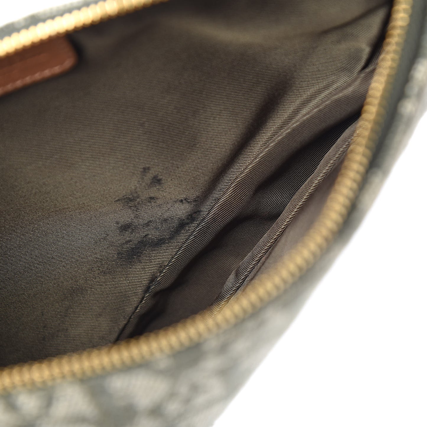 Monogram Mini Saddle Pochette Green