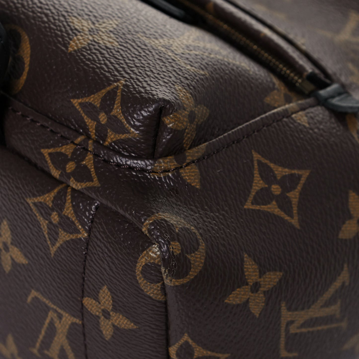 Monogram Palm Springs Backpack Mini