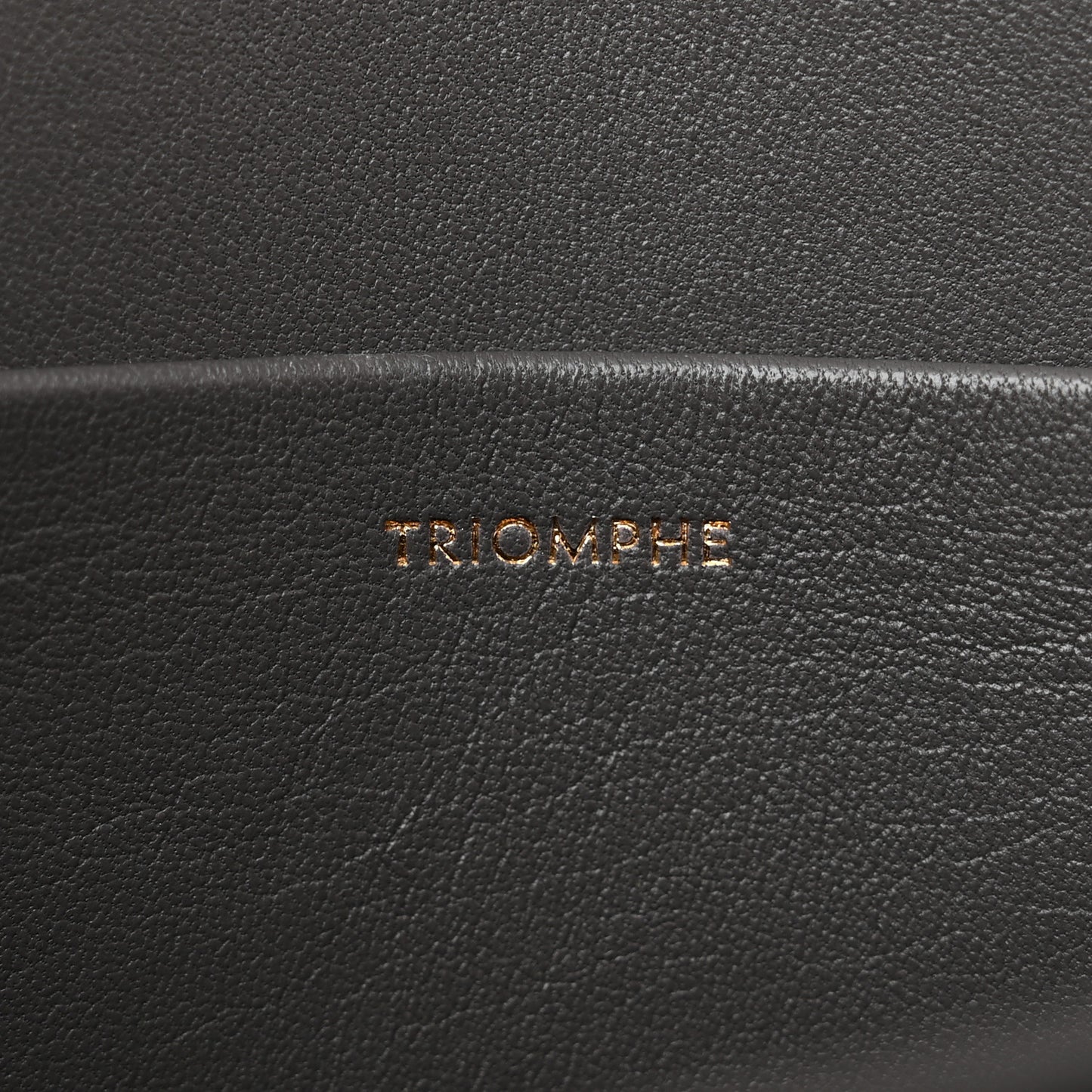 Shiny Calfskin Medium Triomphe Grey