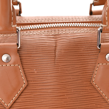 Louis Vuitton Epi Speedy 25 Cannelle 15 of 23