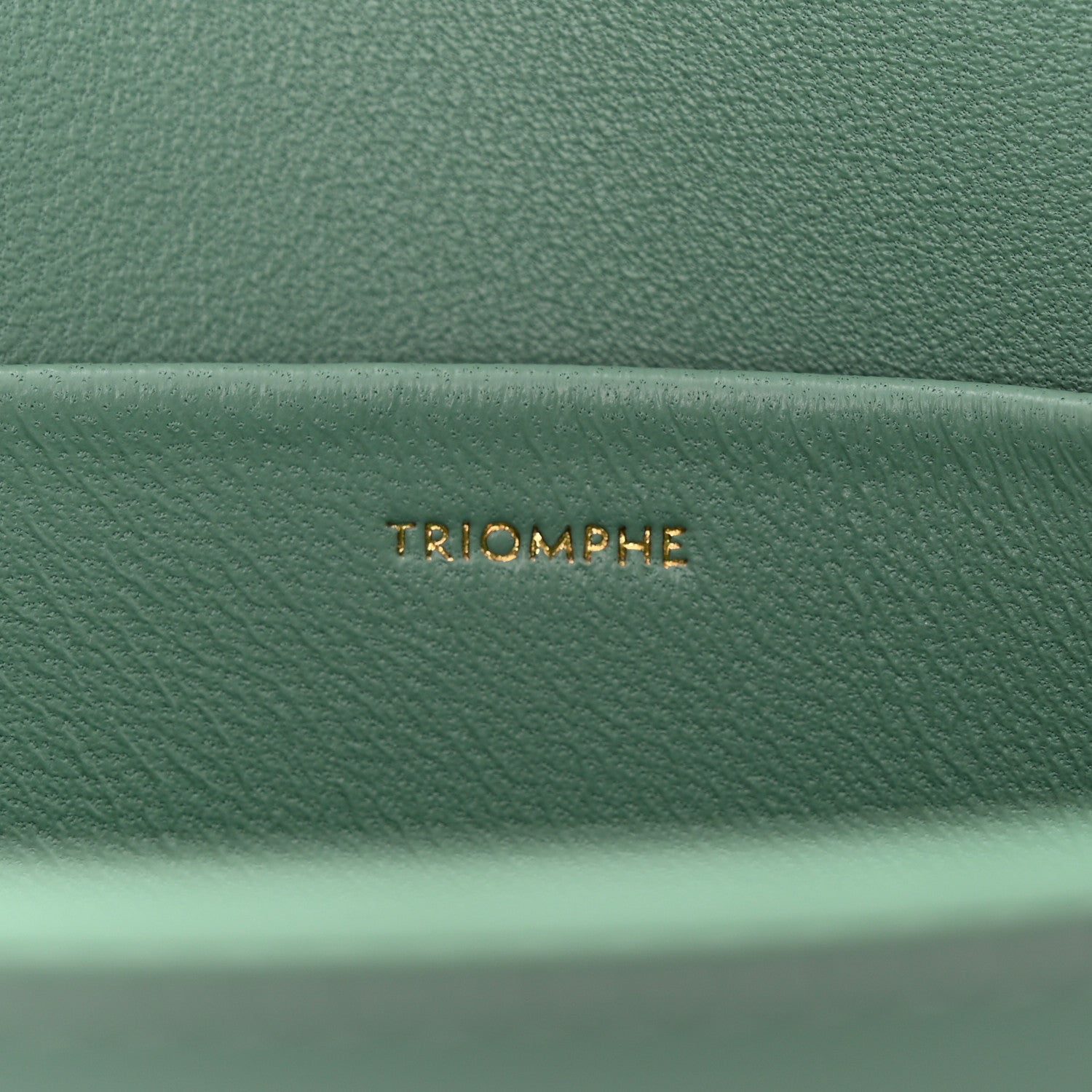 Celine Shiny Calfskin Triomphe Shoulder Bag Celadon 7 of 11