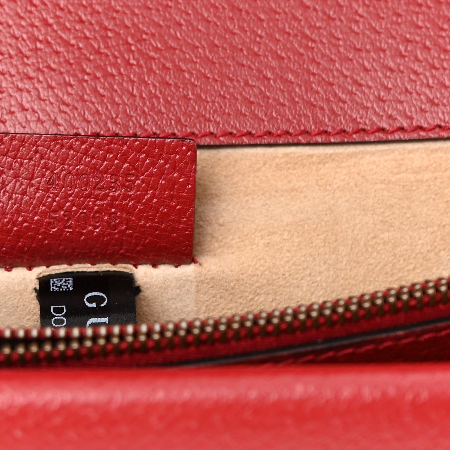 Calfskin Web Raccoon Embroidered Medium Dionysus Shoulder Bag Red