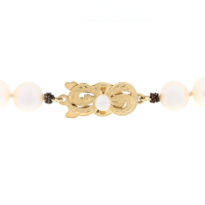 Mikimoto 18K Yellow Gold Akoya Cultured Pearl 7-7.5mm Strand Necklace 14" 5 of 5